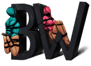 BW LLC logo