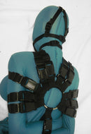 Neoprene or Darlex Panel Gag (Trainer Style, Silicone Ball)