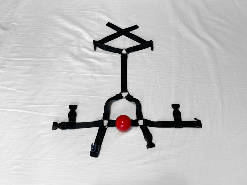 Modular Style Trainer Ball Gag