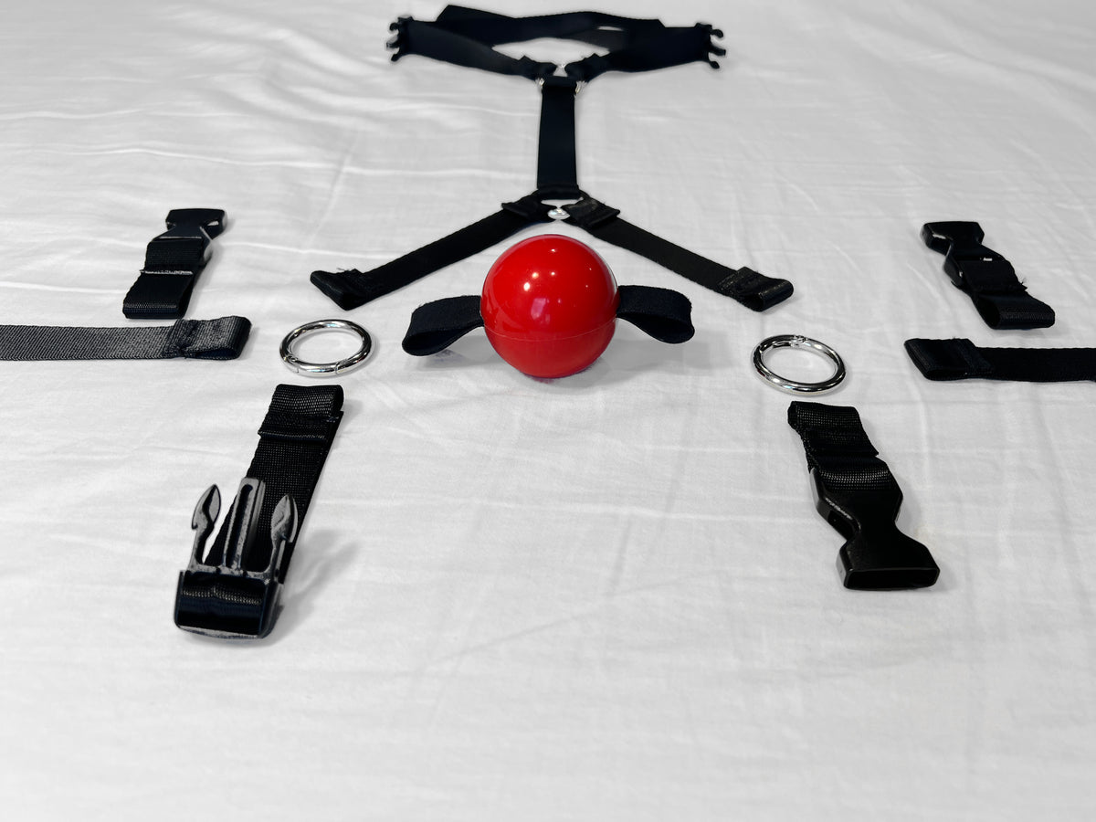 Modular Style Trainer Ball Gag
