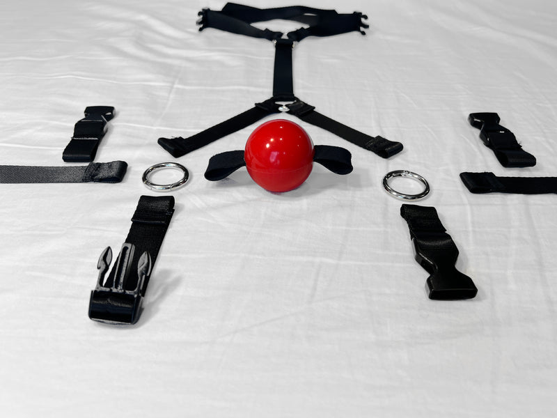 Modular Style Trainer Ball Gag