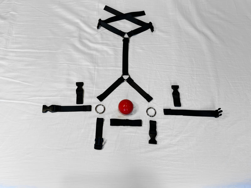 Modular Style Trainer Ball Gag