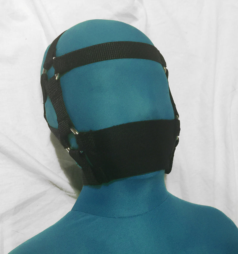 Darlex "Asylum" Panel Gag (Trainer Style, Silicone Ball)