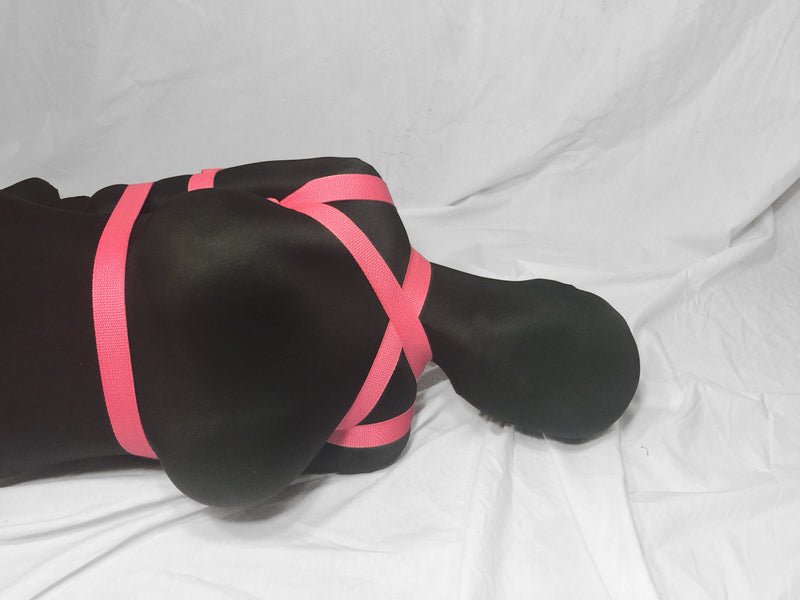 Box-Tie Bondage Harness (X-Style, Extra Security Strap, Colored Poly Webbing)