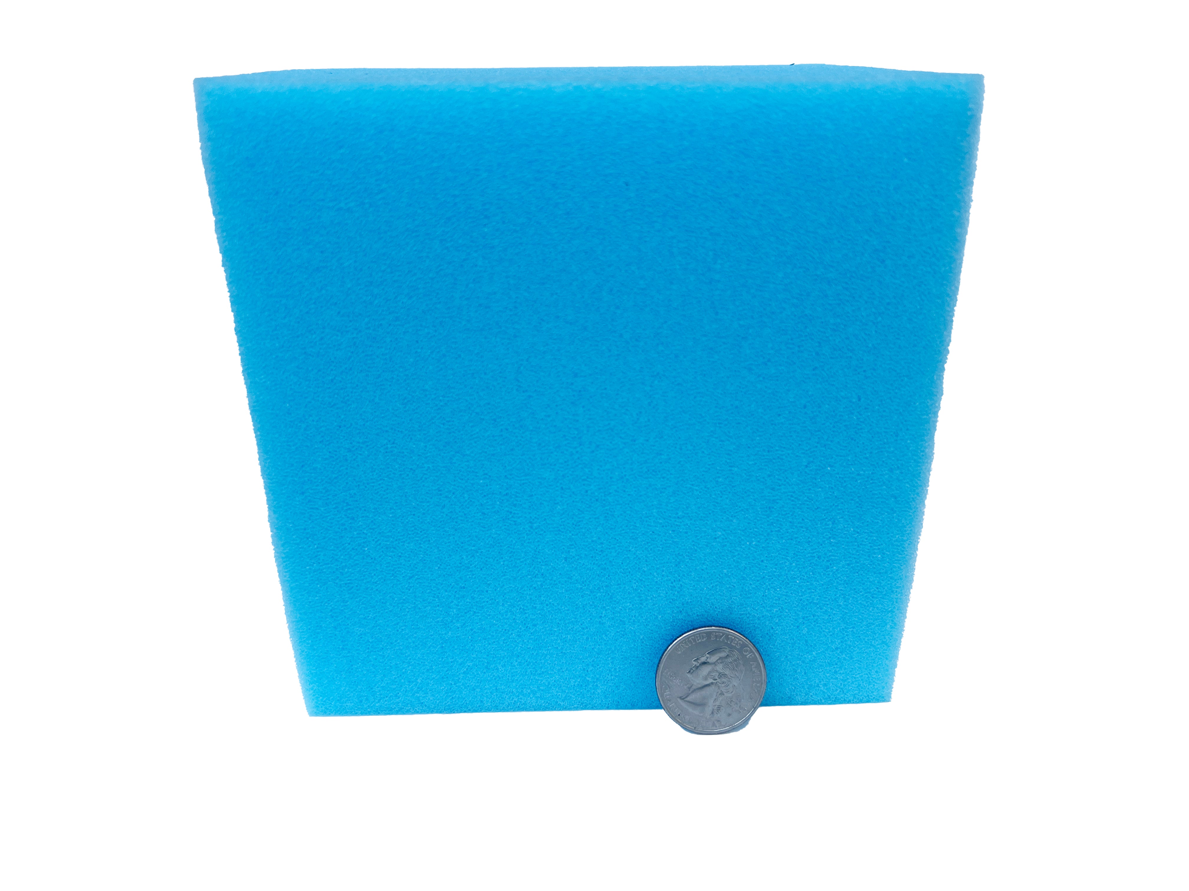 Foam Cube for Mouth Stuffing (5