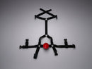 Modular Style Trainer Ball Gag