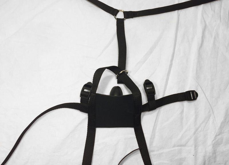 Neoprene or Darlex Panel Gag (Trainer Style, Silicone Penis) - Bondage Webbing